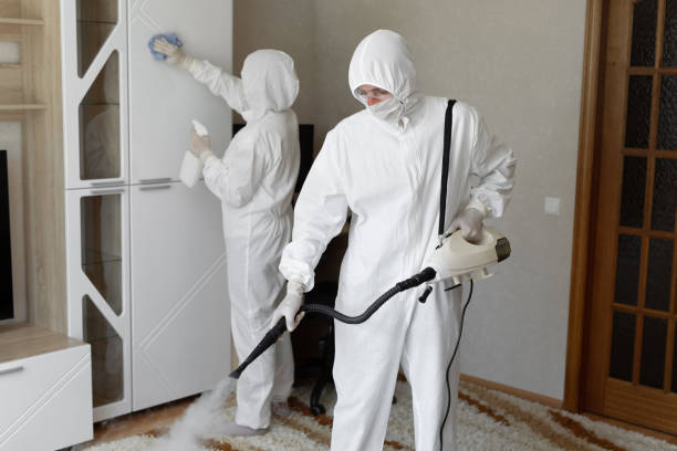 24/7 Emergency Odor Removal experts in Olney, TX